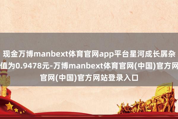 现金万博manbext体育官网app平台星河成长羼杂最新单元净值为0.9478元-万博manbext体育官网(中国)官方网站登录入口